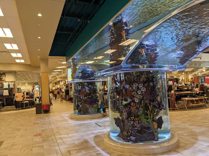 Scheels Picture 6