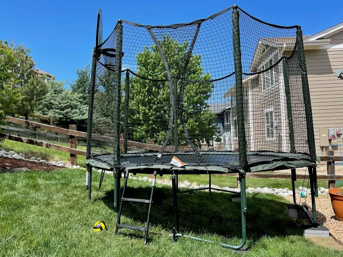 Backyard Dreams Picture 4