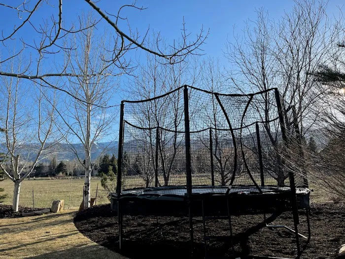 Backyard Dreams Picture 5