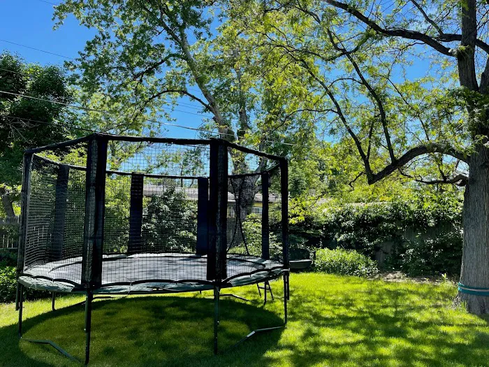 Backyard Dreams Picture 6