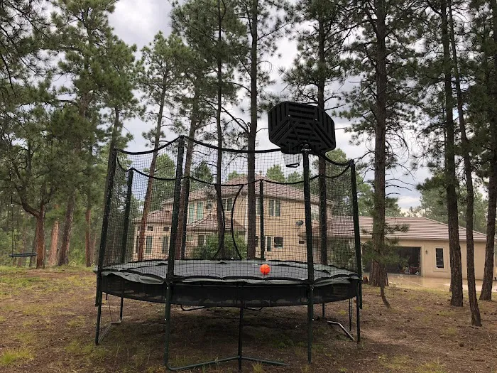 Backyard Dreams Picture 8