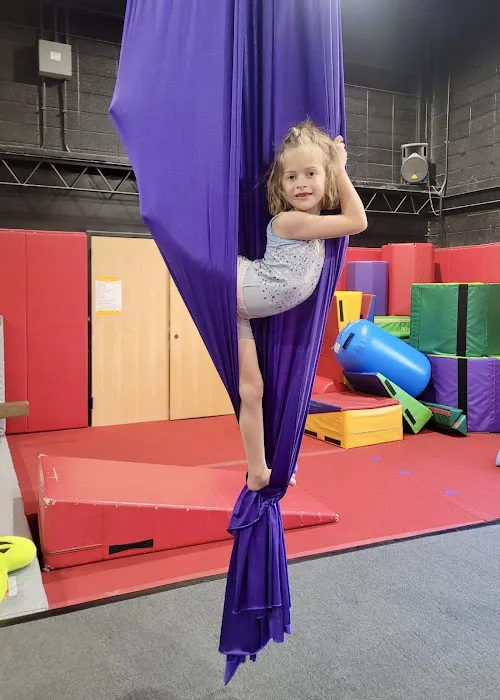 Bounce Gymnastics CO Picture 1