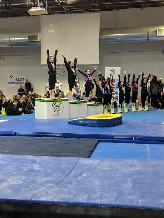 Airborne Gymnastics Picture 4