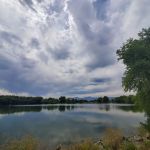 Twin Lakes Dirt Jump Park
