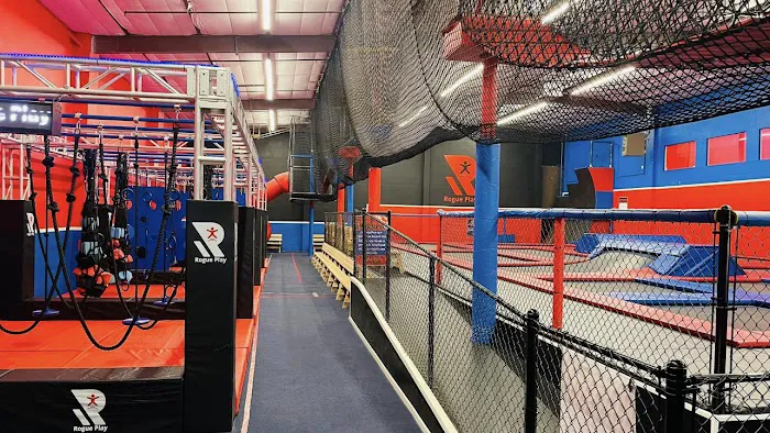 Rogue Play Trampoline and Ninja Center Picture 3