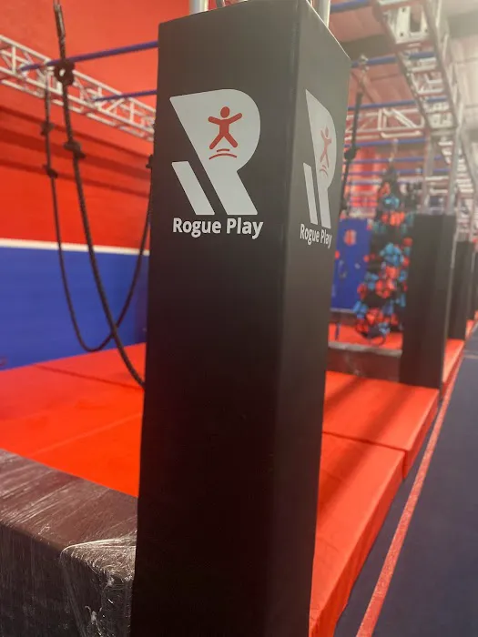 Rogue Play Trampoline and Ninja Center Picture 10