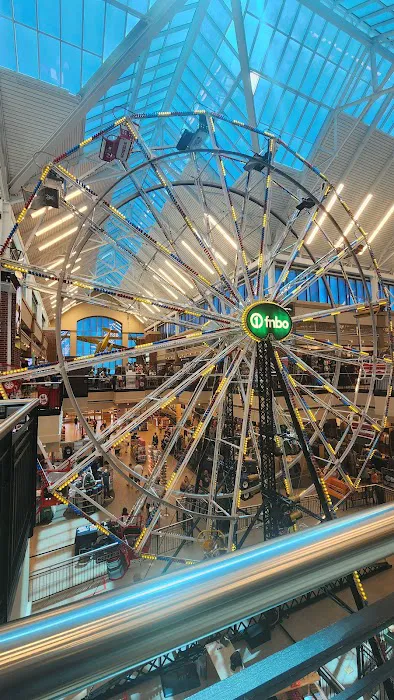 Scheels Picture 2