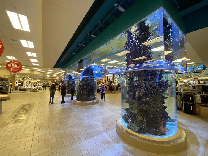 Scheels Picture 6