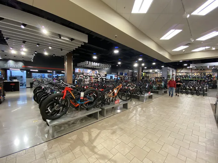 Scheels Picture 5