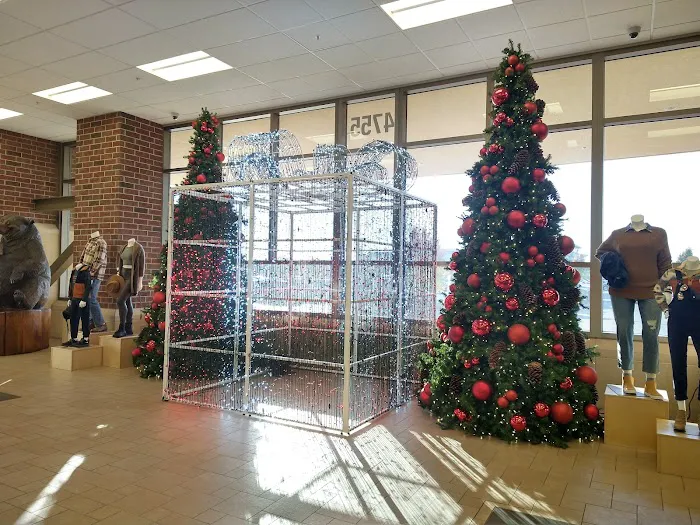 Scheels Picture 10