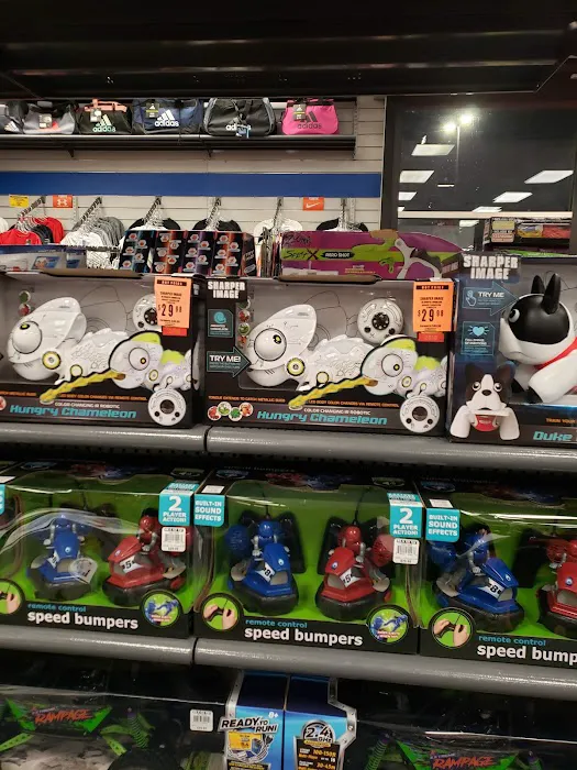 Big 5 Sporting Goods Picture 2