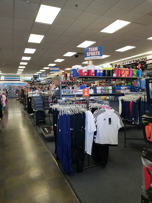 Big 5 Sporting Goods Picture 5