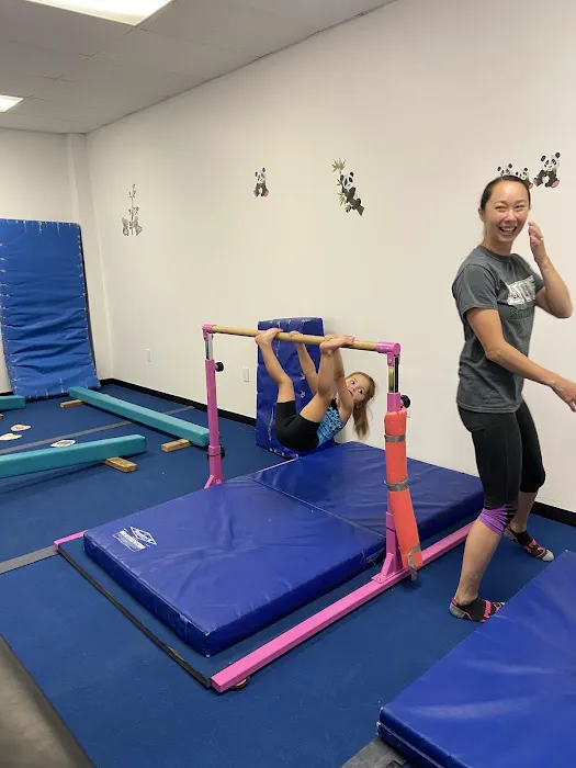EDGE Gymnastics Picture 2