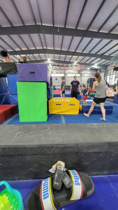 EDGE Gymnastics Picture 8