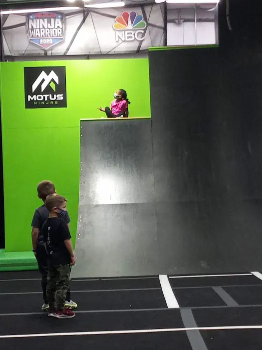 Motus Ninjas Picture 1