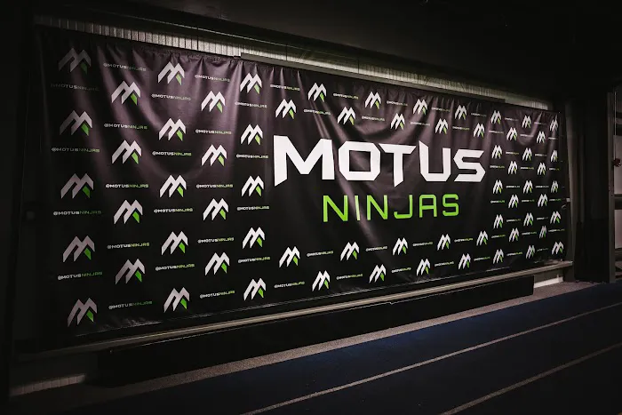 Motus Ninjas Picture 3