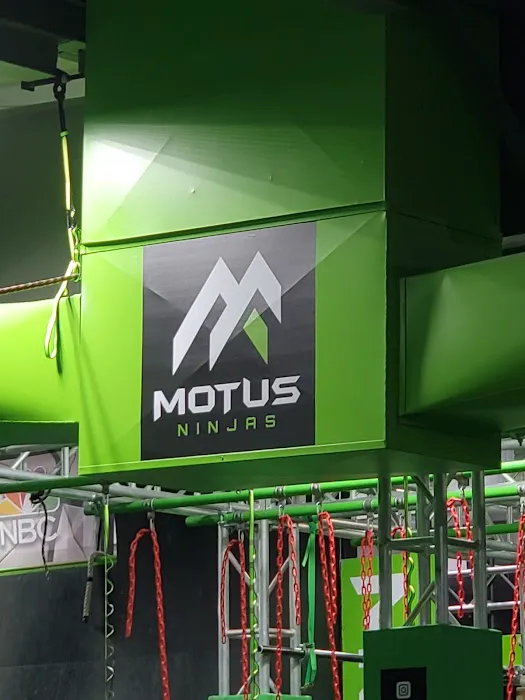 Motus Ninjas Picture 7
