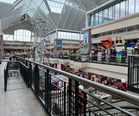 Scheels