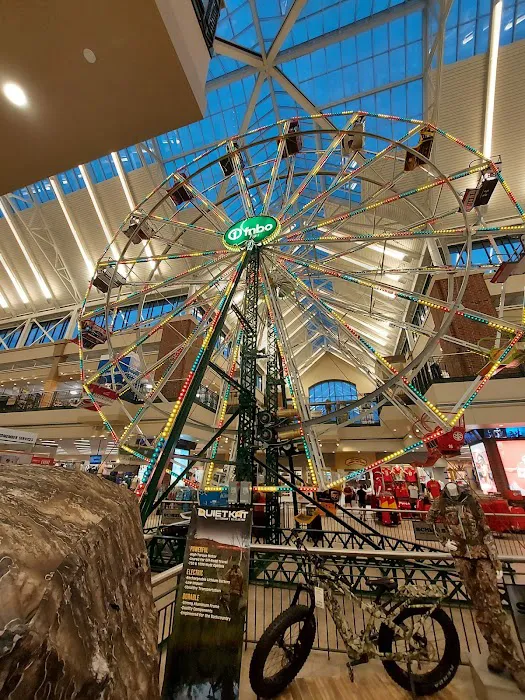 Scheels Picture 5