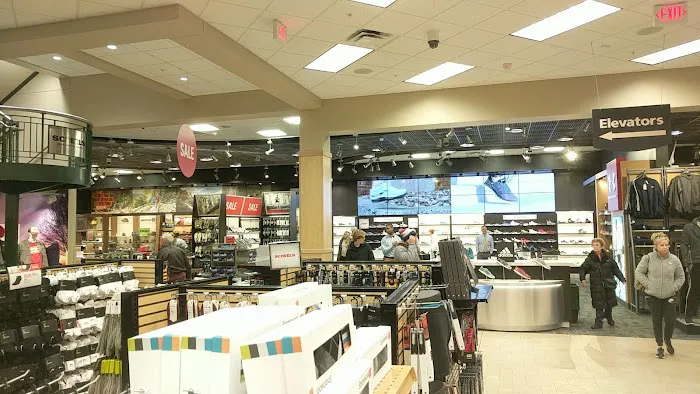 Scheels Picture 7