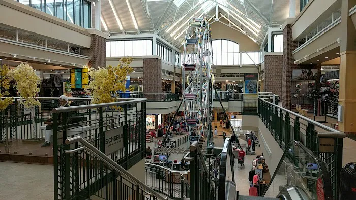 Scheels Picture 8