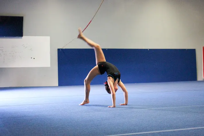 Flipzone Picture 2