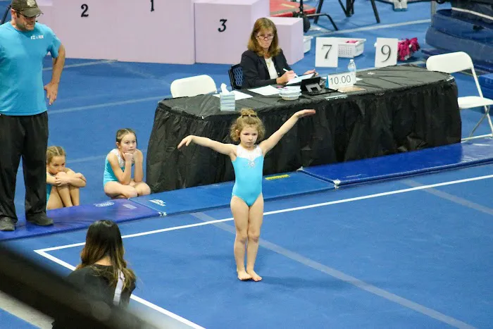 Flipzone Picture 4
