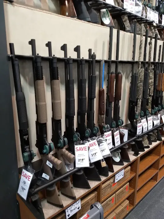 DICK'S Sporting Goods Picture 5