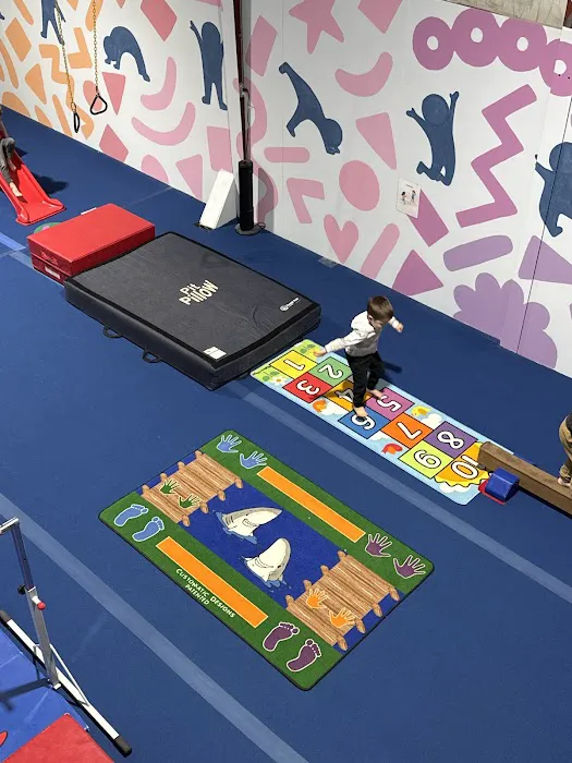 Lawrence Gymnastics Academy Picture 8