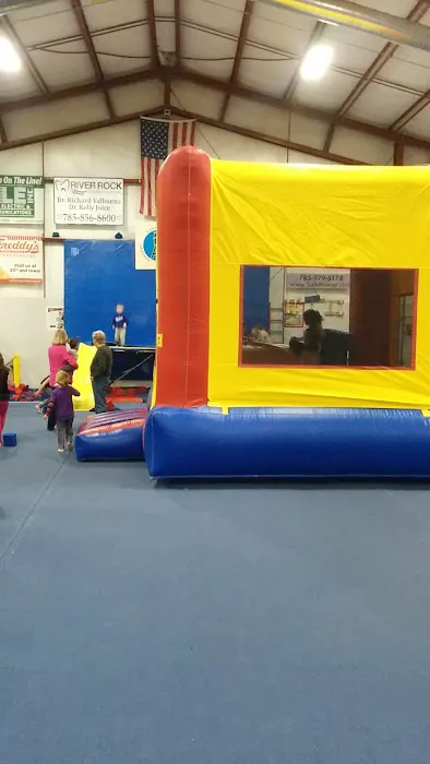 Lawrence Gymnastics Academy Picture 6