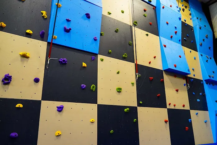 Leap Trampoline Park Picture 6