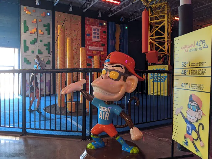 Urban Air Trampoline and Adventure Park Picture 7