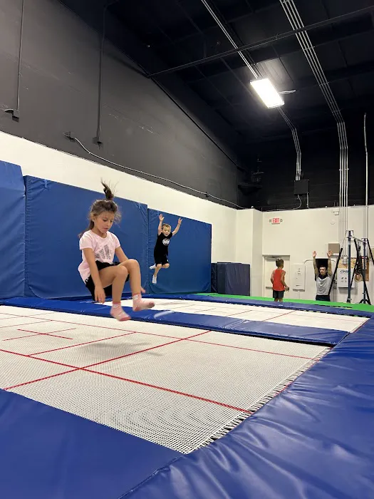 Star Sky Gymnastics Picture 2