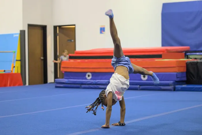 Star Sky Gymnastics Picture 3