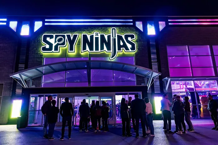 Spy Ninjas HQ Picture 7
