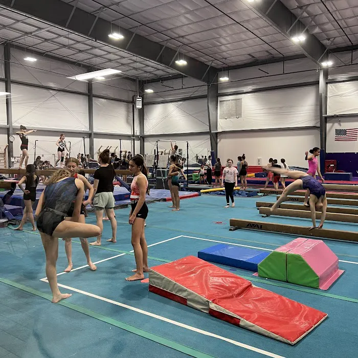 Desert Gymcats Flip 'N Twist Picture 2