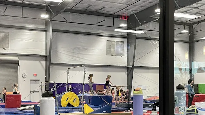 Desert Gymcats Flip 'N Twist Picture 1
