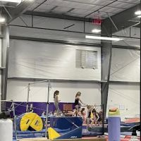 Desert Gymcats Flip 'N Twist ico