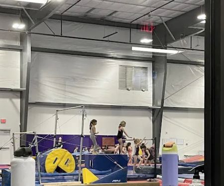 Desert Gymcats Flip 'N Twist