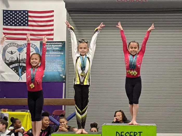 Desert Gymcats Flip 'N Twist Picture 6