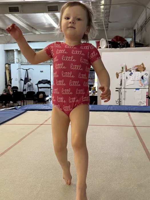 Tumbling Boulders Tumbling and Trampoline Picture 5