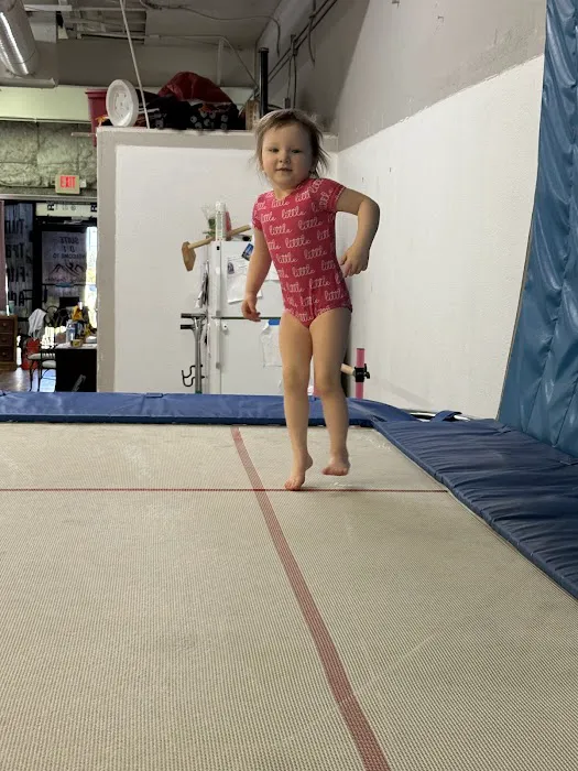 Tumbling Boulders Tumbling and Trampoline Picture 3