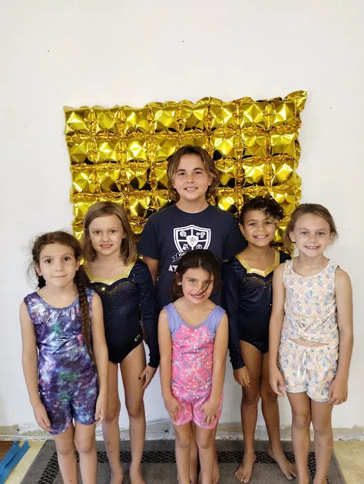 Tumbling Boulders Tumbling and Trampoline Picture 7