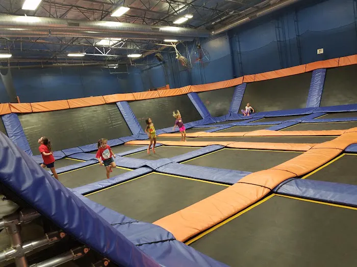 Sky Zone Trampoline Park Picture 1