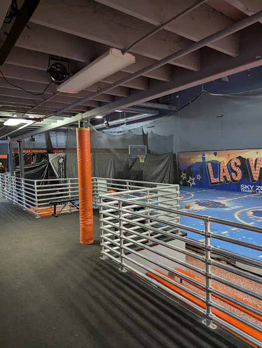 Sky Zone Trampoline Park Picture 2