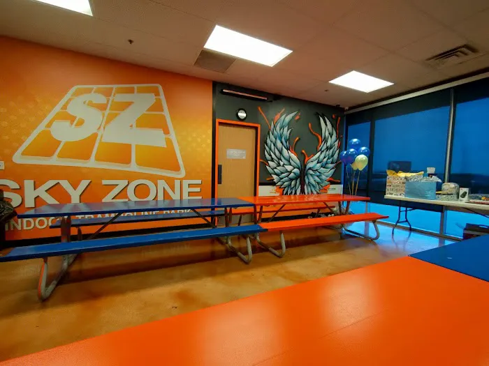 Sky Zone Trampoline Park Picture 7