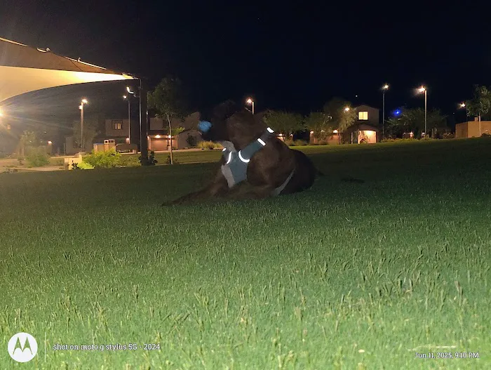 Citrine Sky Park Picture 8