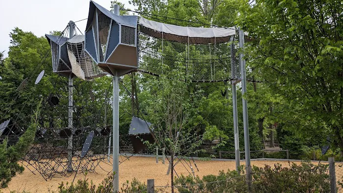 Skywalk Forest Picture 2