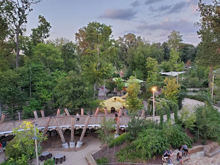 Skywalk Forest Picture 1