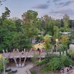Skywalk Forest